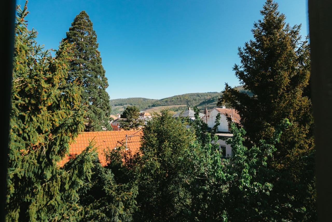 Domaine Boheme I Art De Vivre Leilighet Guebwiller Eksteriør bilde